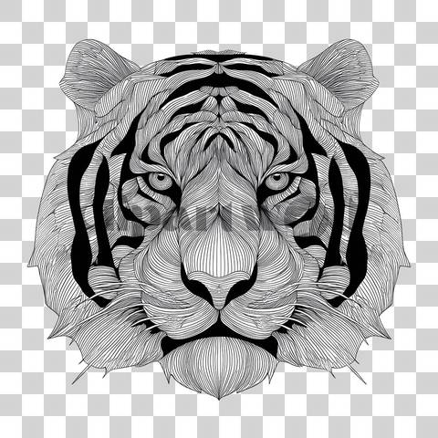 Minimal line art drawing of tiger head with bold black lines